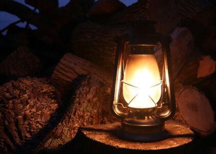 Omelia della 1a Domenica di Avvento 2025