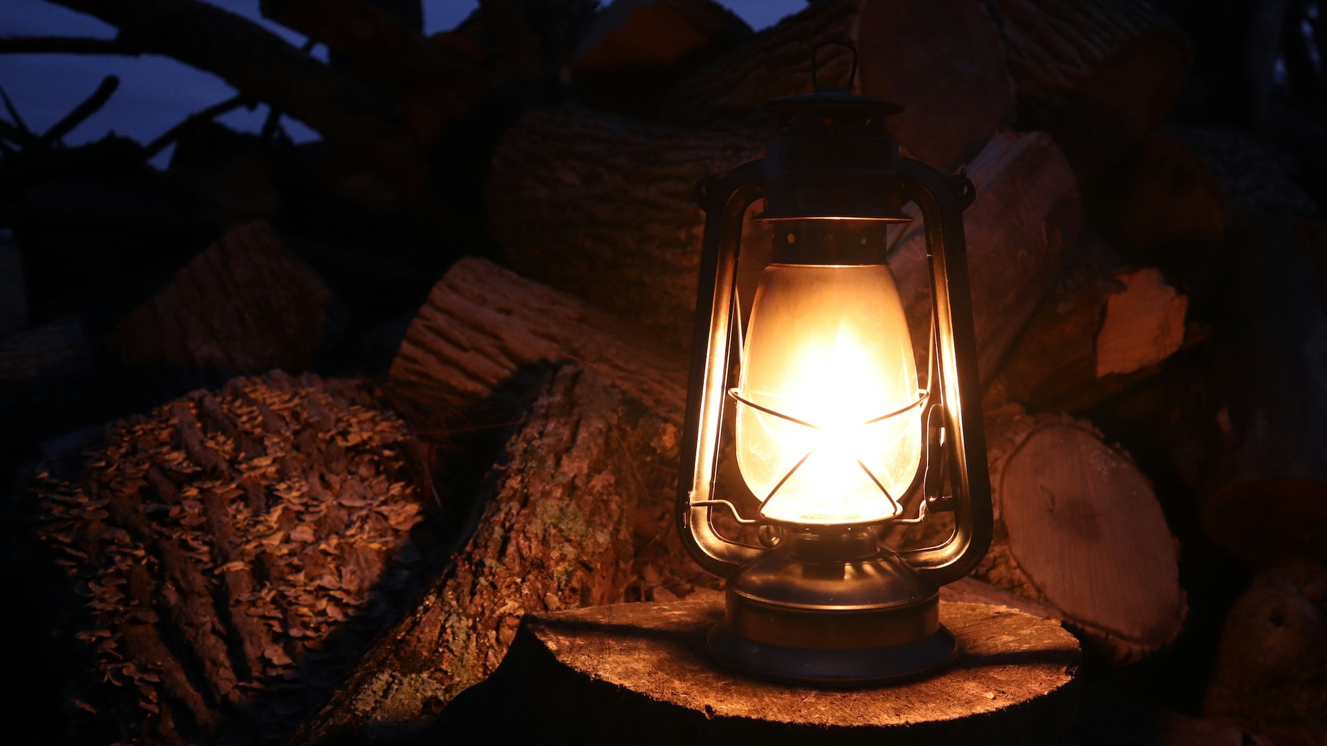 Omelia della 1a Domenica di Avvento 2025