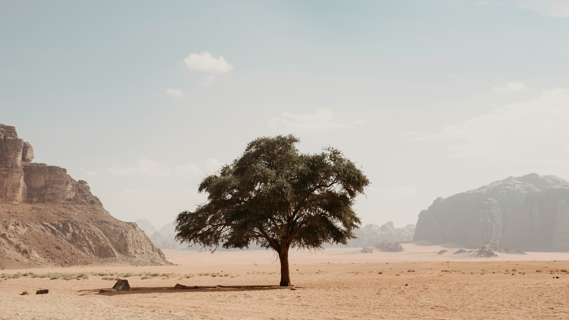 Omelia della IIIa Domenica di Avvento 2025