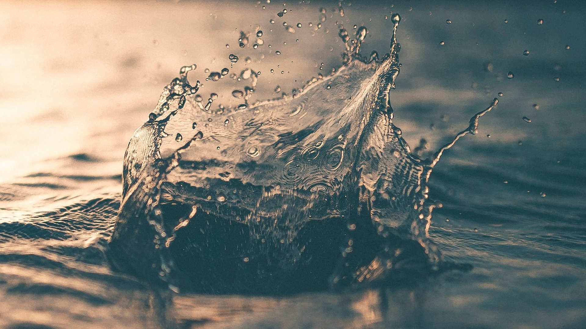 Omelia della IIa Domenica del Tempo Ordinario