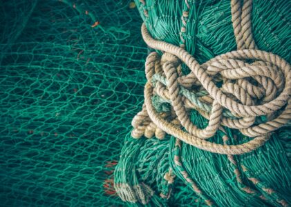 Omelia della IIIa Domenica del Tempo Ordinario 2026