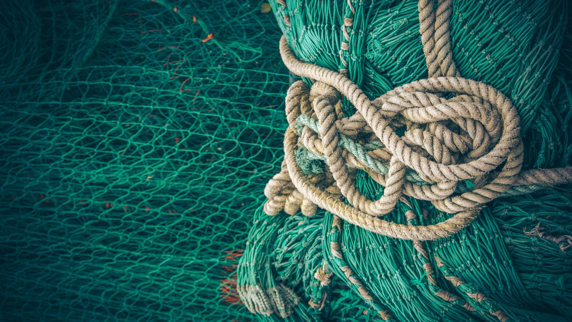 Omelia della IIIa Domenica del Tempo Ordinario 2026