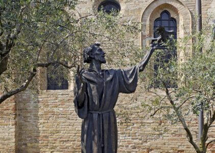 Omelia della XXVIIa Domenica del Tempo Ordinario, Festa di San Francesco 2026