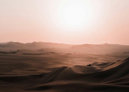 Omelia della Ia Domenica di Quaresima 2026