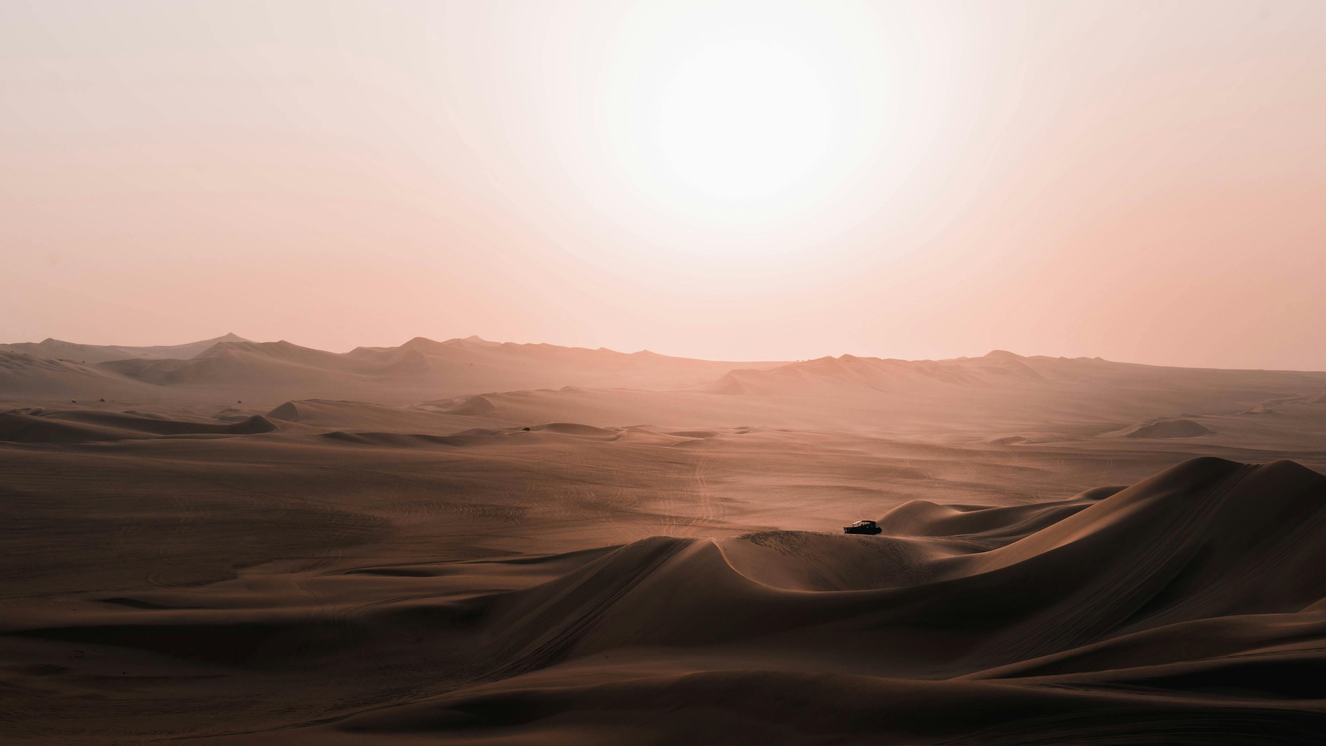 Omelia della Ia Domenica di Quaresima 2026