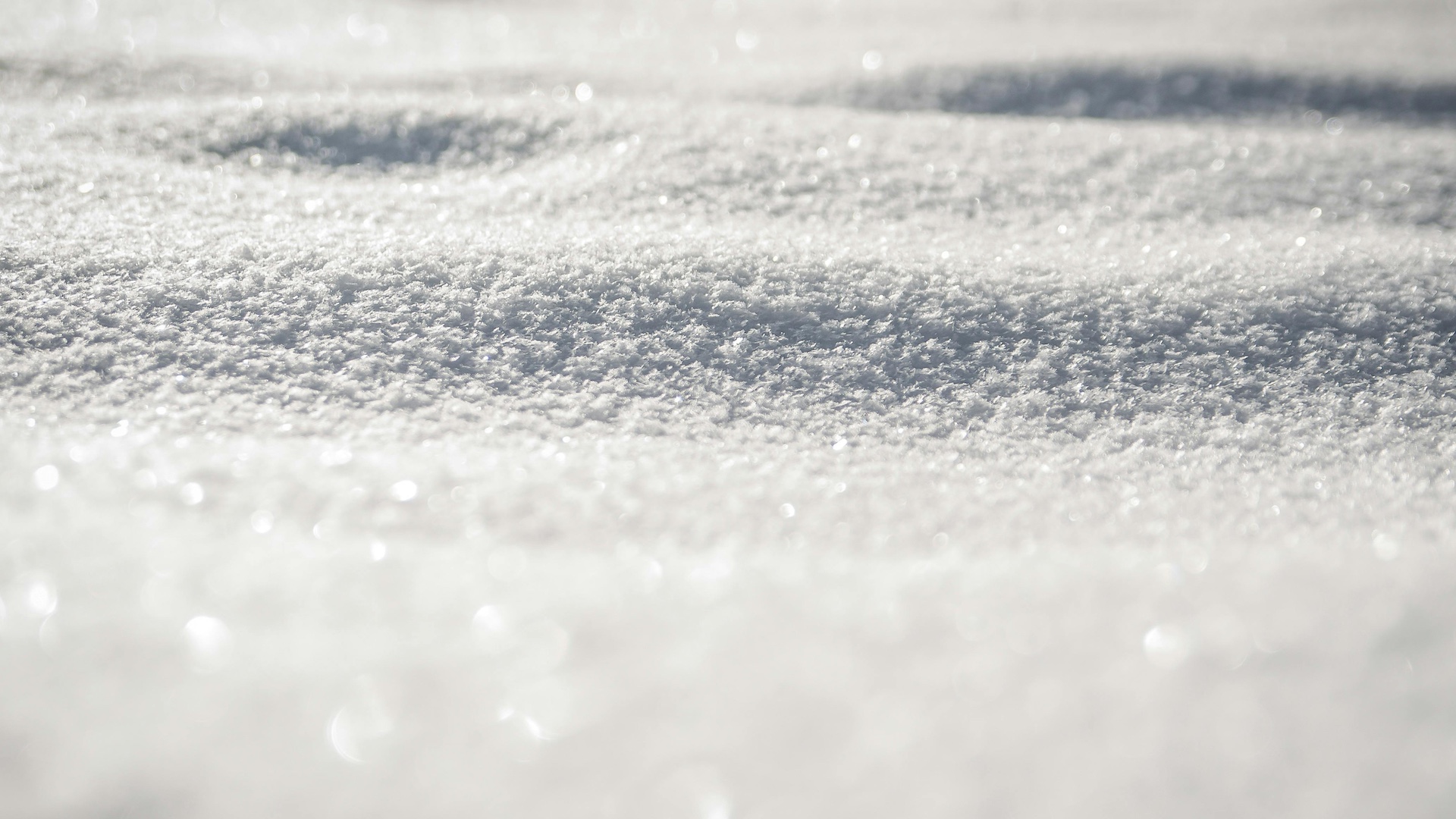 Omelia della Va Domenica del Tempo Ordinario 2026