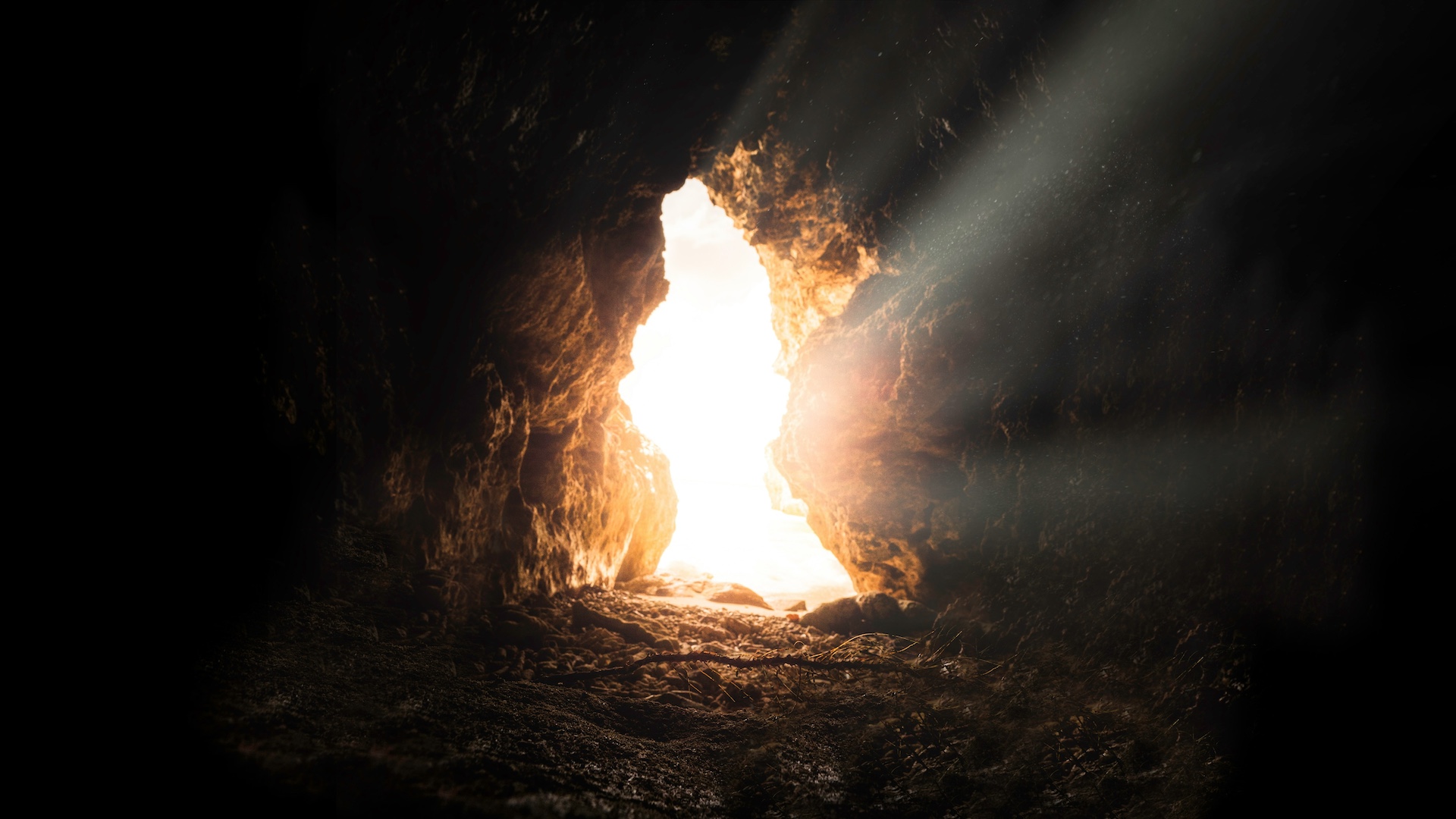 Omelia di Pasqua 2026