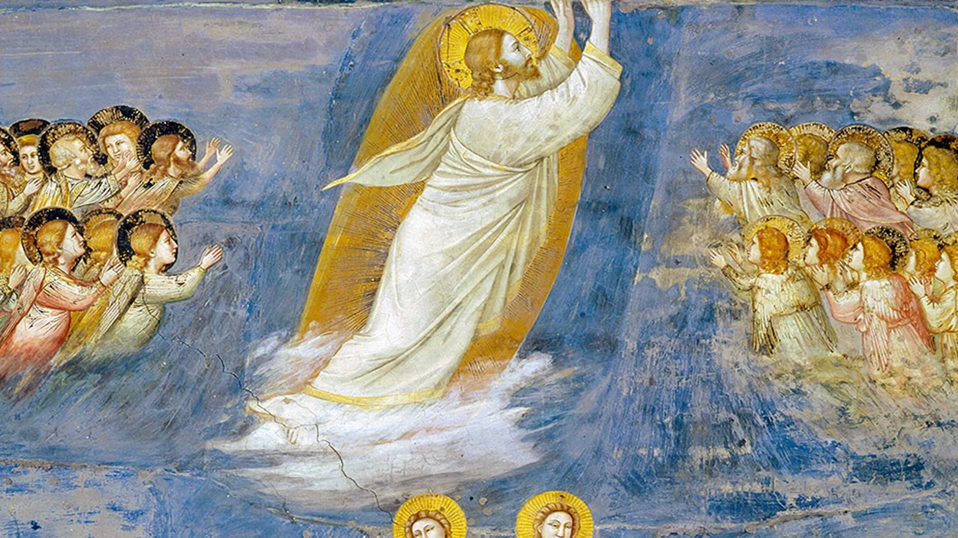 Omelia della Solennità dell’Ascensione